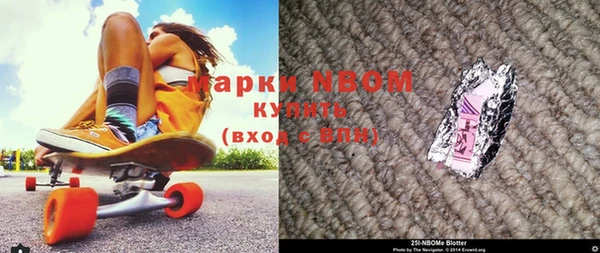 прущие грибы Беломорск