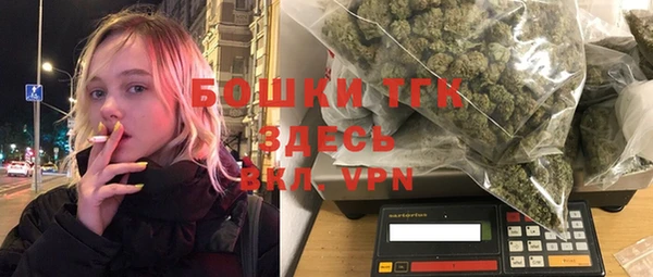 прущие грибы Беломорск