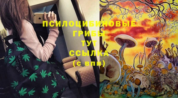 прущие грибы Беломорск