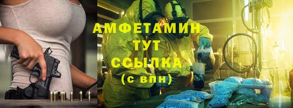 прущие грибы Беломорск