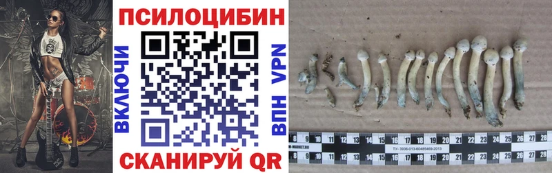 Галлюциногенные грибы мухоморы  Новосибирск 