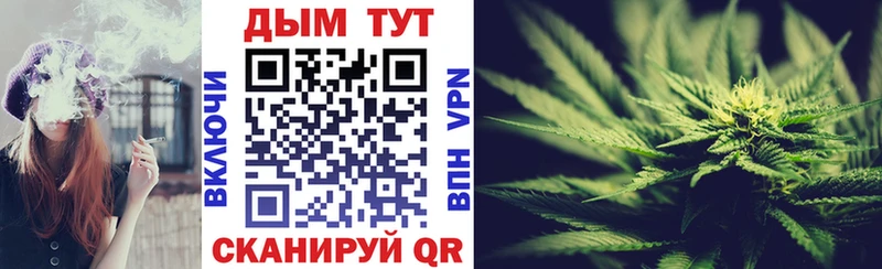 Конопля конопля Новосибирск