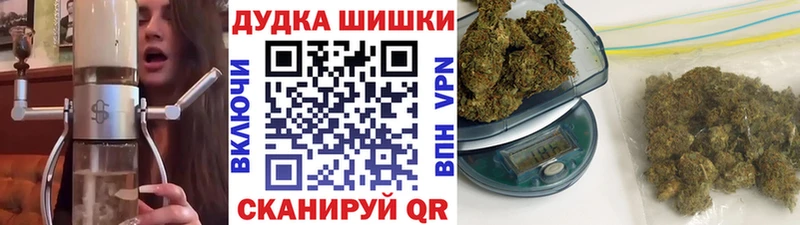 Бошки марихуана семена  Новосибирск 